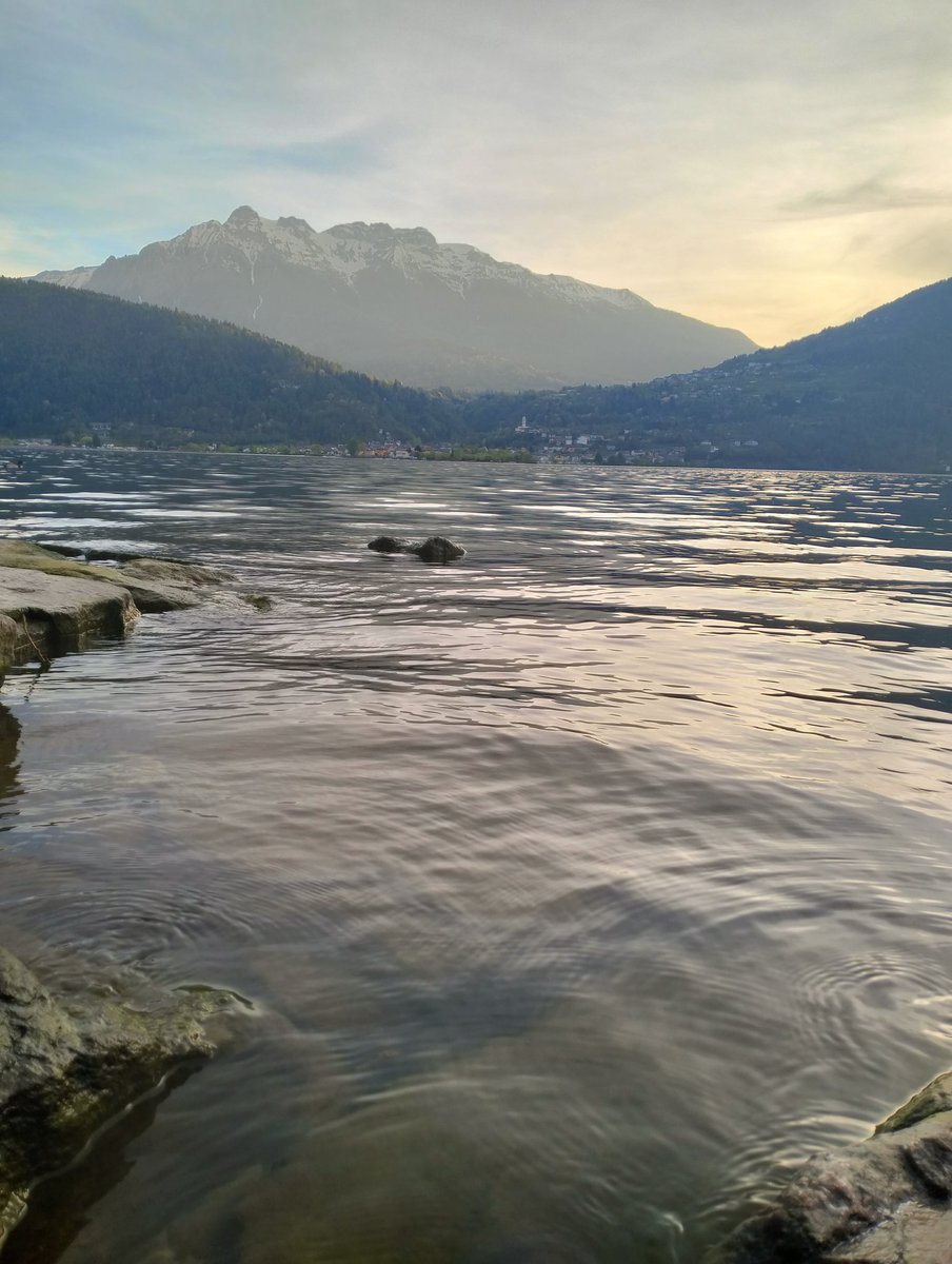 emanuelagranat3's tweet photo. First swim of the year after an intensive day of fieldwork hits different♥️ https://t.co/ahLbGzWvPe