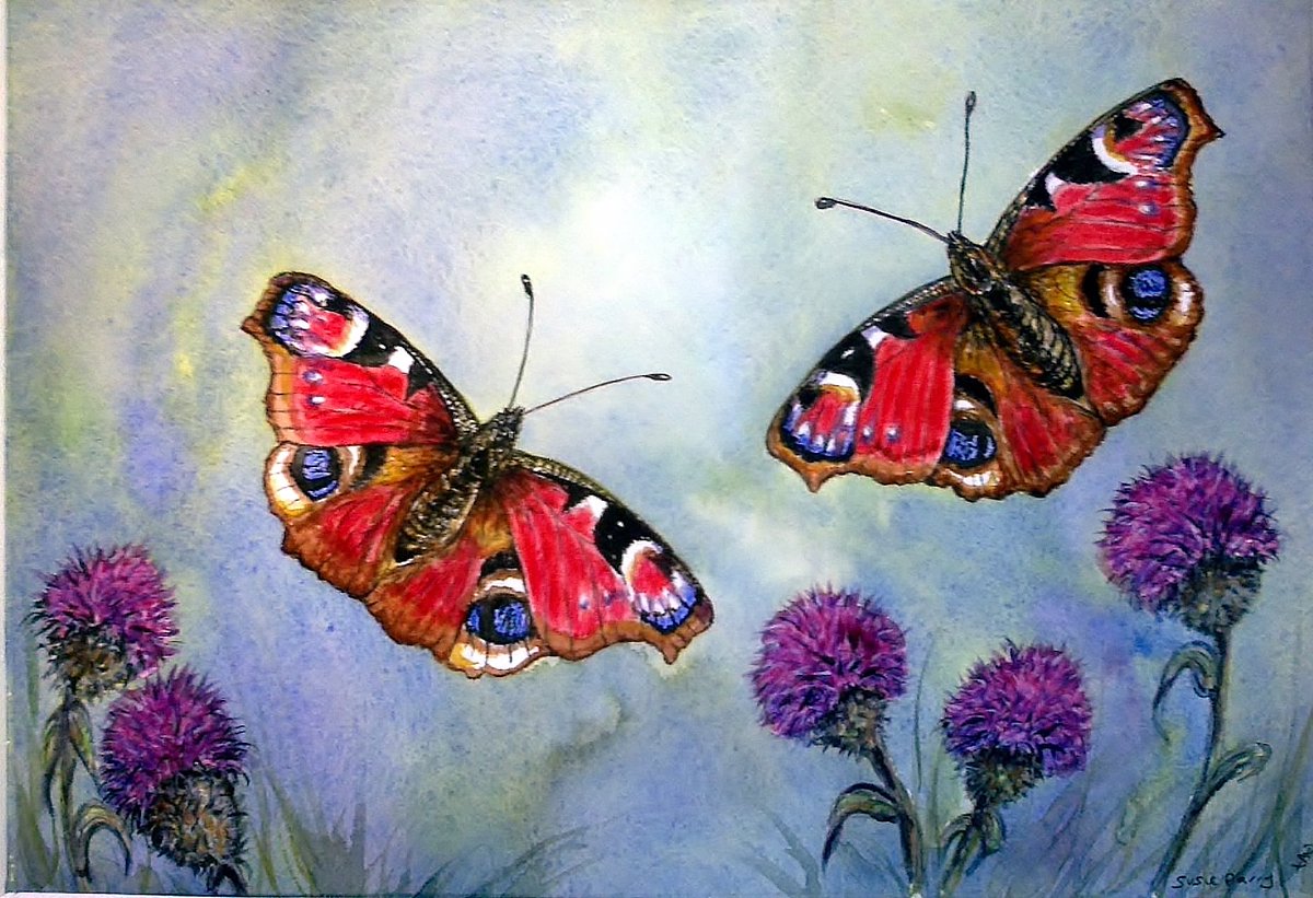 We saw a peacock butterfly in the garden on Friday, for the first time this year 😊 Here's a watercolor I painted a while ago of two peacock butterflies 🦋🥰 #artshare #Watercolour #painting #Butterflies #Butterfly #GardenersWorld #gardening #spring 🦋🥰