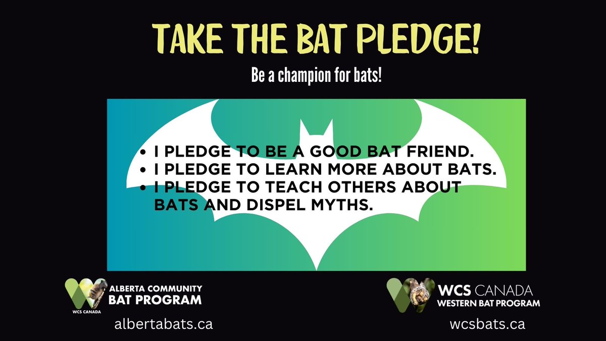 #BatAppreciationDay2024 It's time again to take the BAT PLEDGE! Be a champion for bats! Because #BatsNeedFriends Every little thing we do to educate others will help bats. So many species are in trouble or so poorly known. They really do need the help! 
@wcscanadabats @WCS_Canada