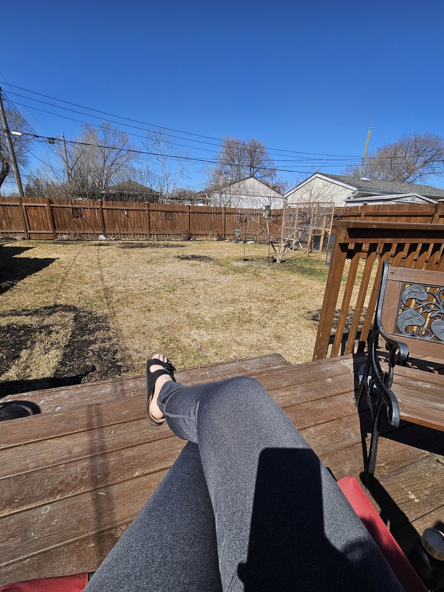 fishergirl39's tweet image. Abbey loves being outside in her new catio! Hubby moved it onto the grass &amp;amp; she is so happy watching the birds dig around in the flowerbeds. #spoiledcat #catslife