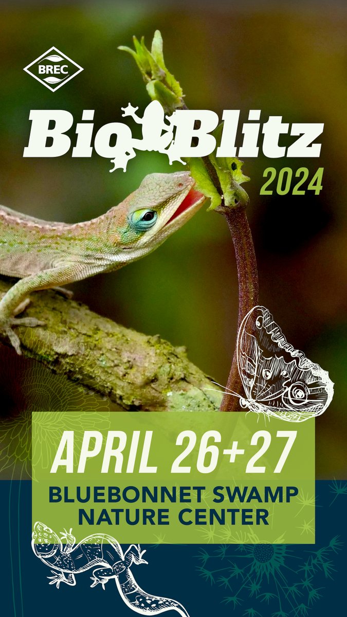 🦎🌿 Dive into nature at BioBlitz @ Bluebonnet Swamp Nature Center on April 26 + 27! 🐸🔍 Join us, local scientists, and family to document Swamp species and support conservation efforts. 🐞🌳 Register for guided hikes & educational activities: brec.org/bioblitz 🗓️