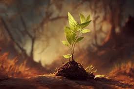 The dire sapling bows 
Heavy with the weight of life
Woe is me, Mr. Sun

 #WalesHaikuJournal (sapling)