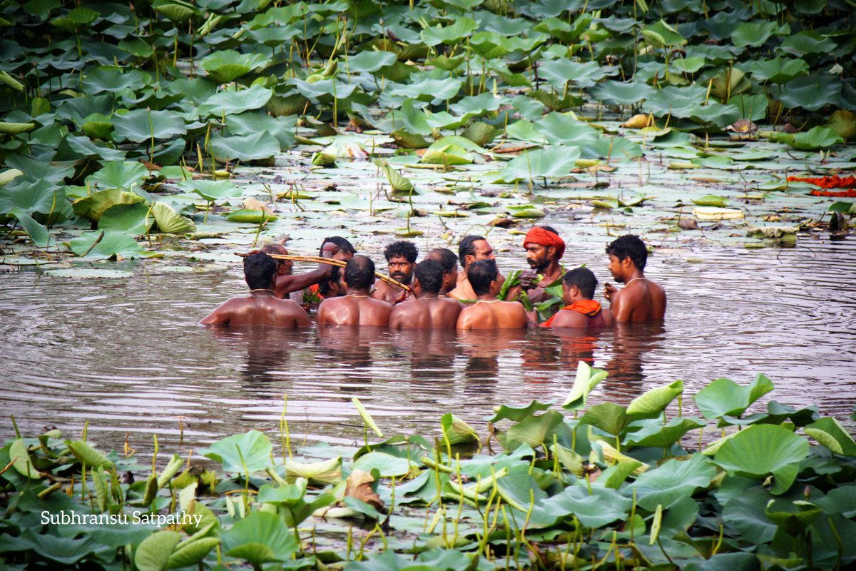 talktosubhransu's tweet photo. #ଦଣ୍ଡଯାତ୍ରା  #DANDAYATRA https://t.co/4dw3GJFSJe
