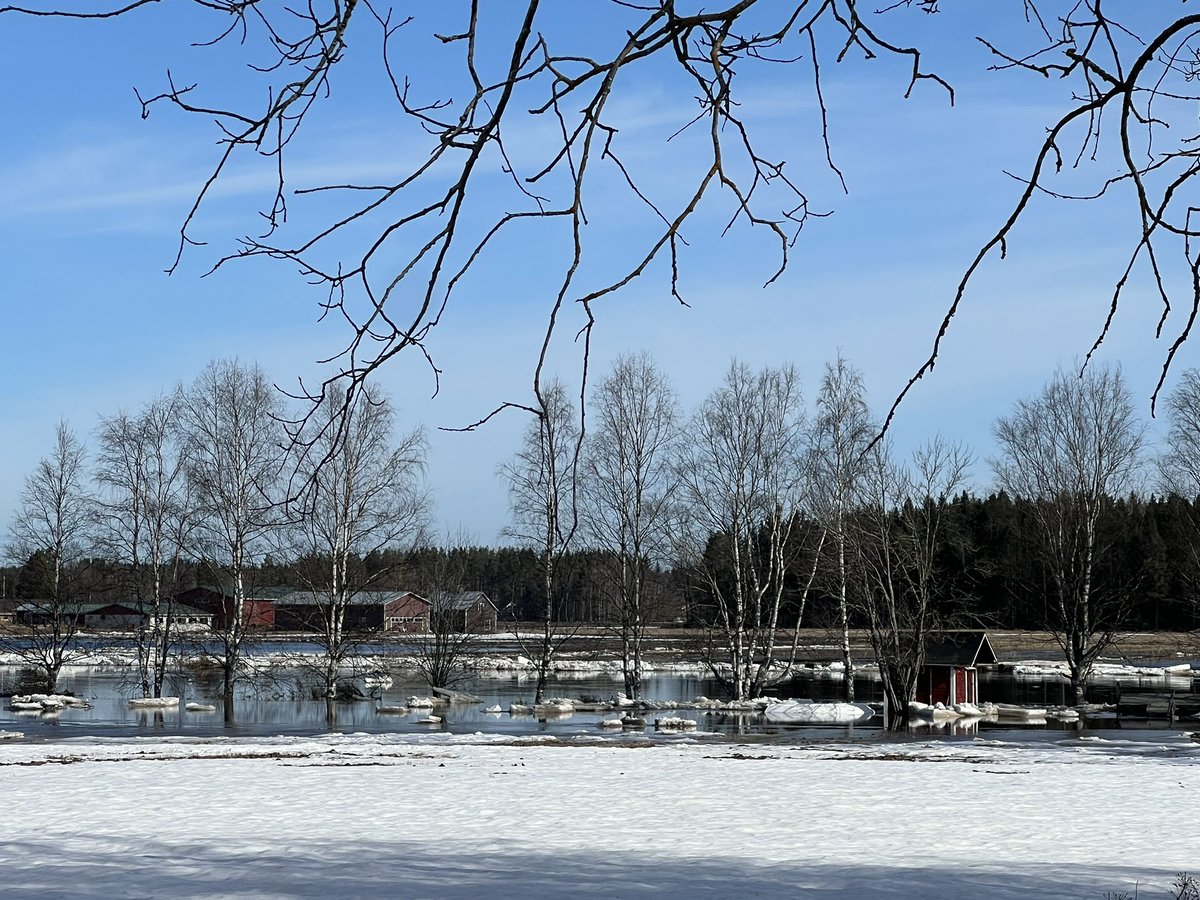 Tulvatilanne on kriittinen Ylivieskassa‼️ 

Tilanne Hamarin padolla on rauhoittumassa, mutta Niemelänkyläntie on poikki ja Visalantie vain osittain käytössä. Ethän liiku alueella ilman välttämätöntä tarvetta‼️

#kevättulva #kalajoki #ylivieska