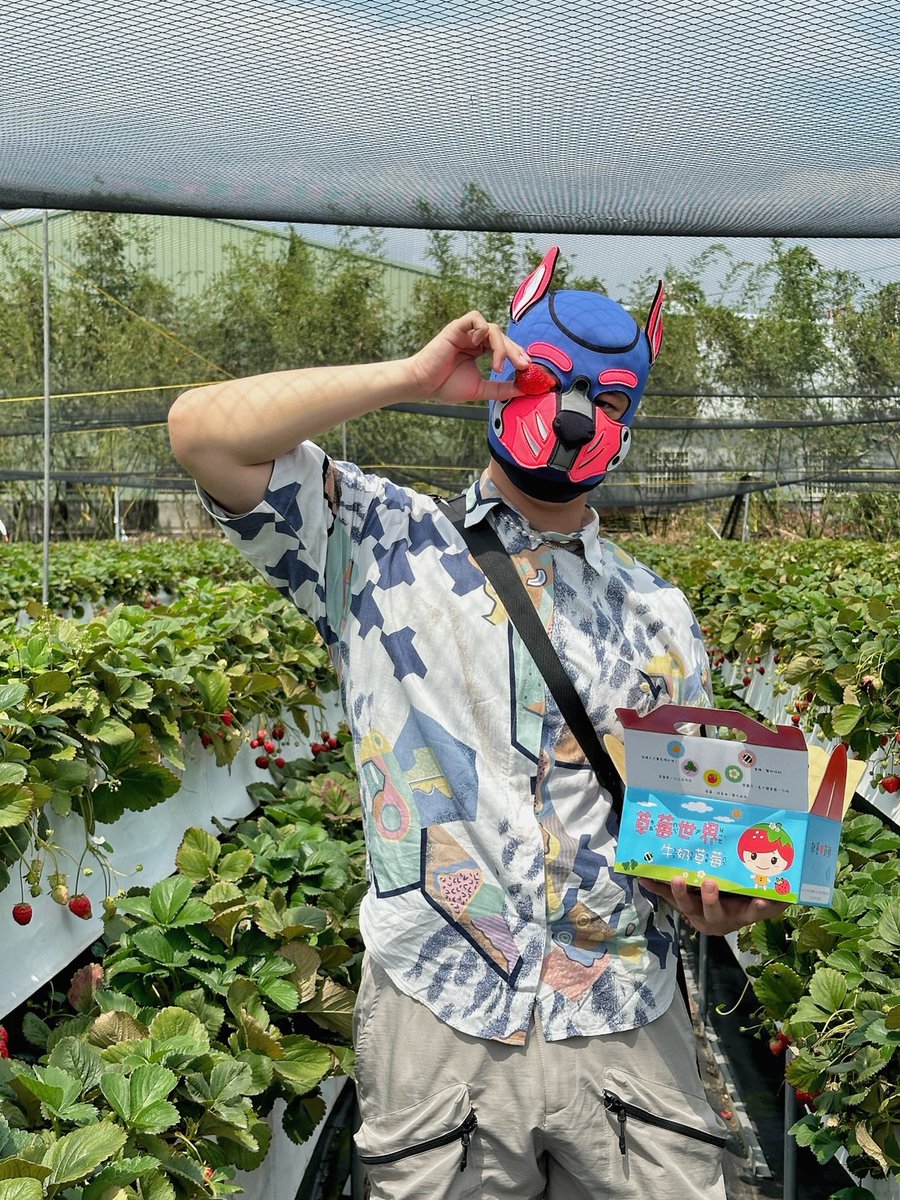 最近在當幸福肥的乖狗狗