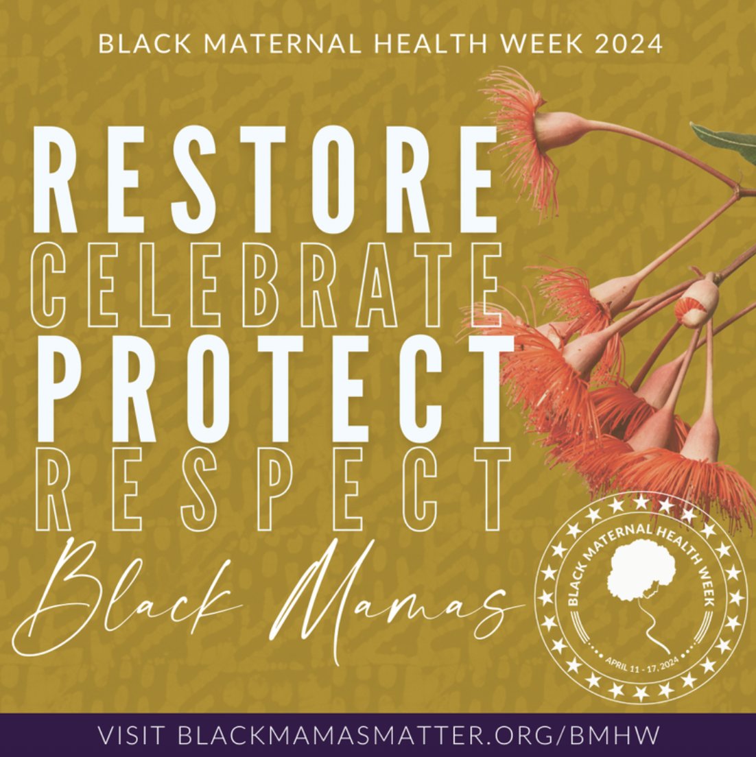 Abortion Access Front is joining @BlkMamasMatter to celebrate Black Maternal Health Week! Join us in centering maternity care work, and advocacy. This year's theme is “Our Bodies STILL Belong to Us: Reproductive Justice NOW” Learn more! #BlackMamasMatter blackmamasmatter.org/bmhw