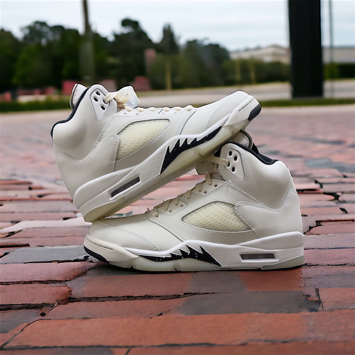 streetgameusa's tweet photo. New drop 🚨
Air Jordan Retro 5 SE “Sail”
FCFS 04.13
If you haven’t already, make sure to download our app to view upcoming releases, new arrivals and more!
#streetgameusa #jumpman #jumpman23 #sneakerhead #kicksonfire #nike #23isback #sneakerprovider #basketball #itsaneighborhoodthing #footwear
