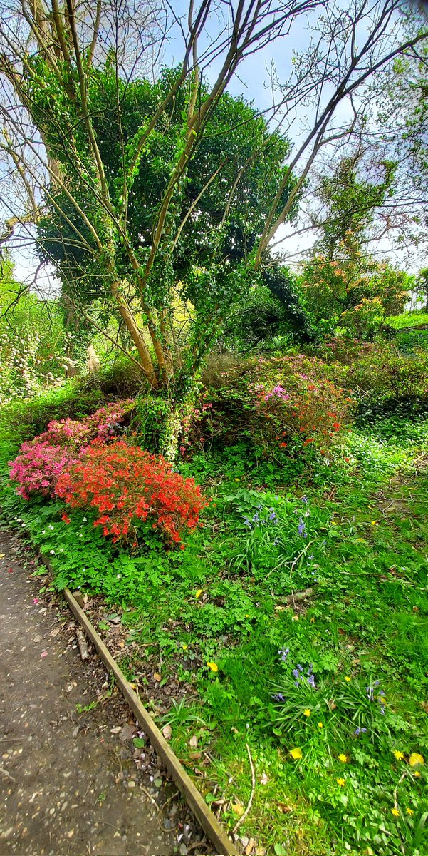 British spring walk, just so beautiful.