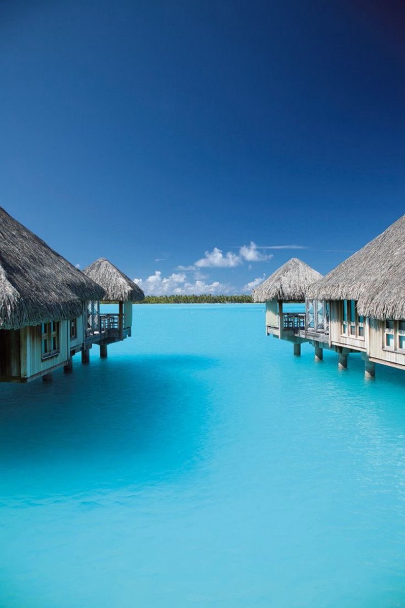 freywl's tweet photo. Bora Bora c’est un rêve https://t.co/0ZYpbKhjSK