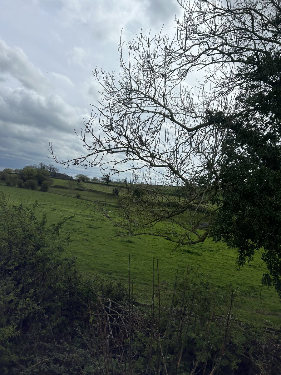 Back on the ‘Wensleydale Fryer’ fish and chip train to Leyburn. Great food and lots of chuckles 🤭