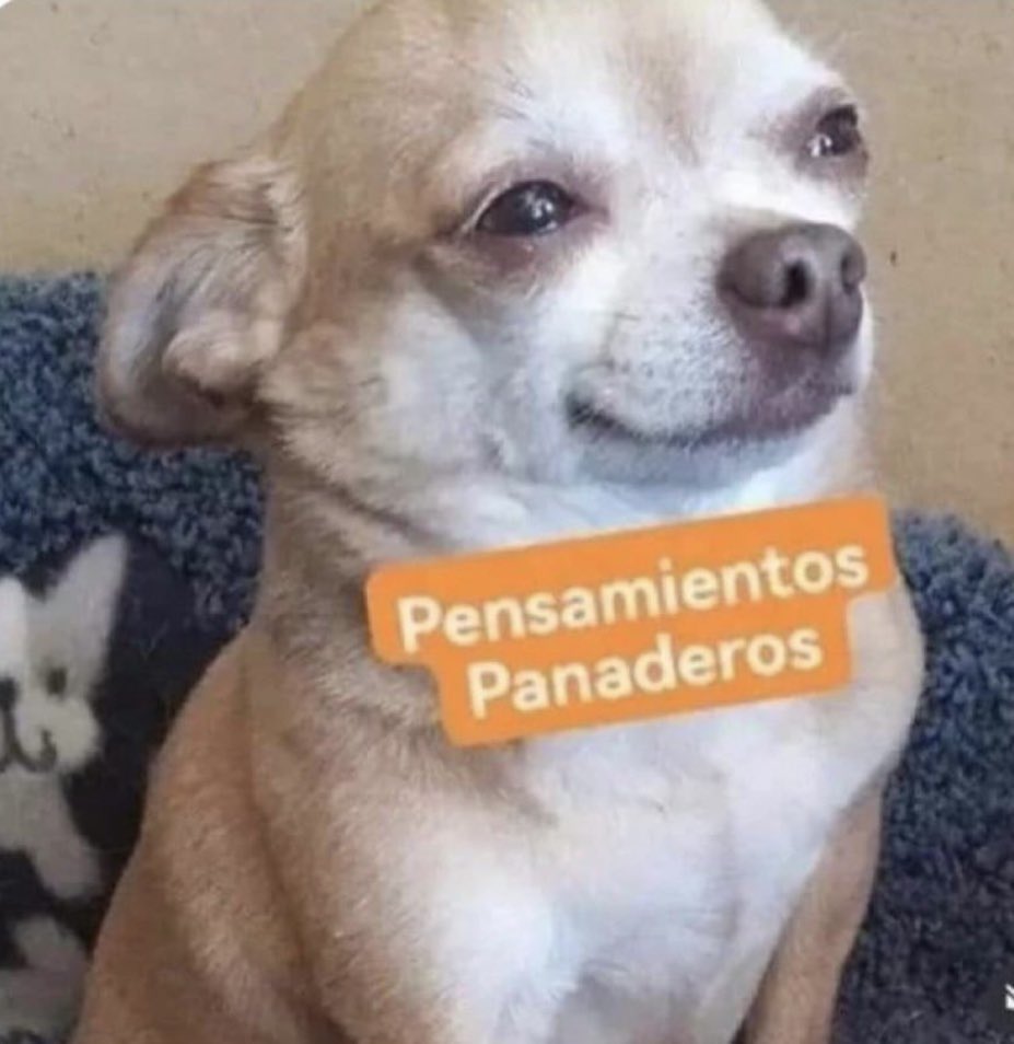 Mood del día