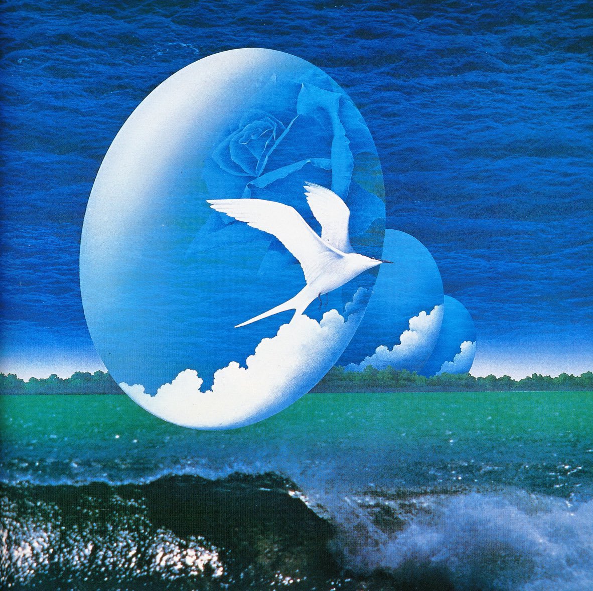 xe0_xeo's tweet photo. Graphical artistic designs by Japanese artist Shigeo Okamoto https://t.co/tbsuQbtwRT