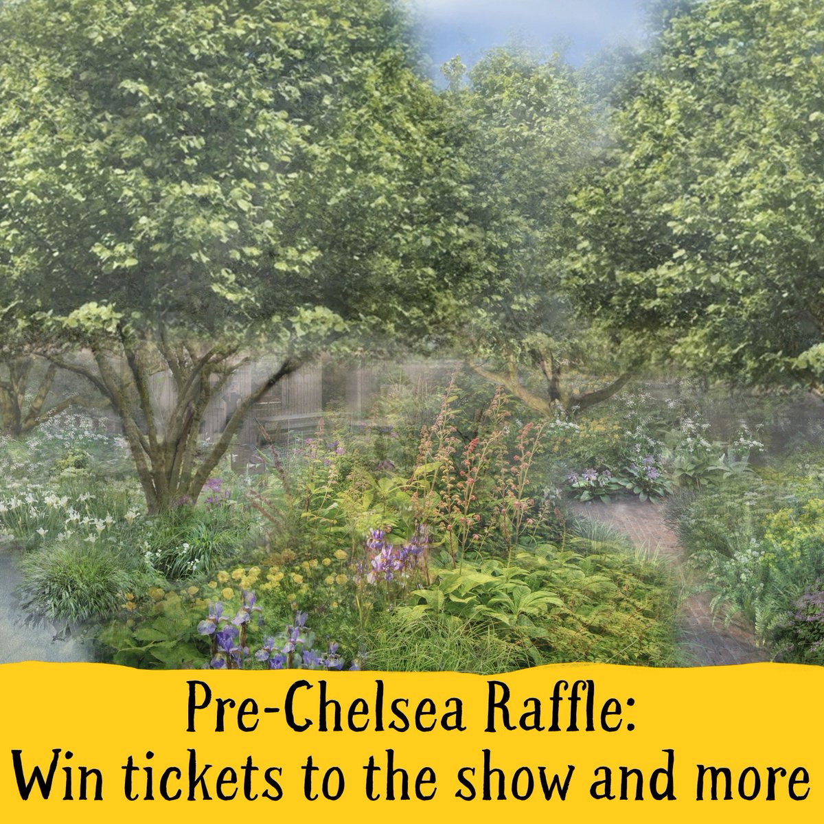 🌟Win a pair of tickets to the RHS Chelsea Flower Show🌟 Winners of the Chelsea tickets will also be invited to join us on the National Garden Scheme show garden on Main Avenue. Buy your tickets here for a chance to win👇️ tinyurl.com/PreChelseaRaff… #raffle #RHSChelsea