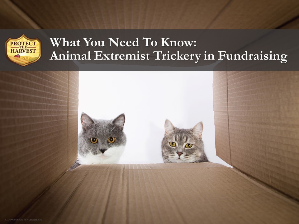 Most of your donation dollars aren't spent on actual animal care.
#animalwelfare #animalextremism #animalwelfarenotanimalextremism
protecttheharvest.com/what-you-need-…