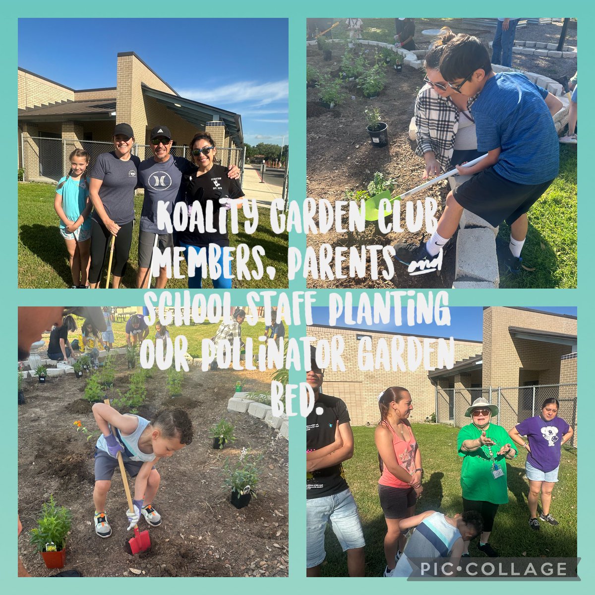 Koality Garden members, parents and school staff came to plant our pollinator garden from a grant we won from Project Acorn 👩🏻‍🌾⛲️! We are very grateful to Mr. Oberg for all the time and effort he has put into our garden beds!!