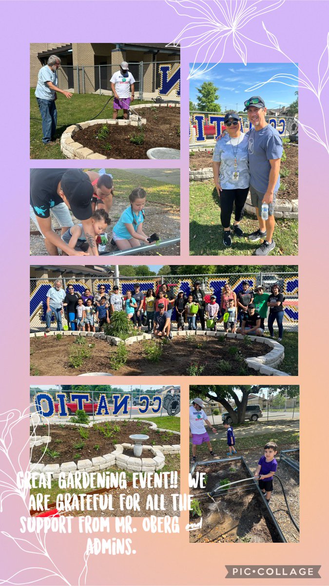 Myralopez41's tweet photo. Koality Garden members, parents and school staff came to plant our pollinator garden from a grant we won from Project Acorn 👩🏻‍🌾⛲️!  We are very grateful to Mr. Oberg for all the time and effort he has put into our garden beds!! https://t.co/5YPGSHNJFR