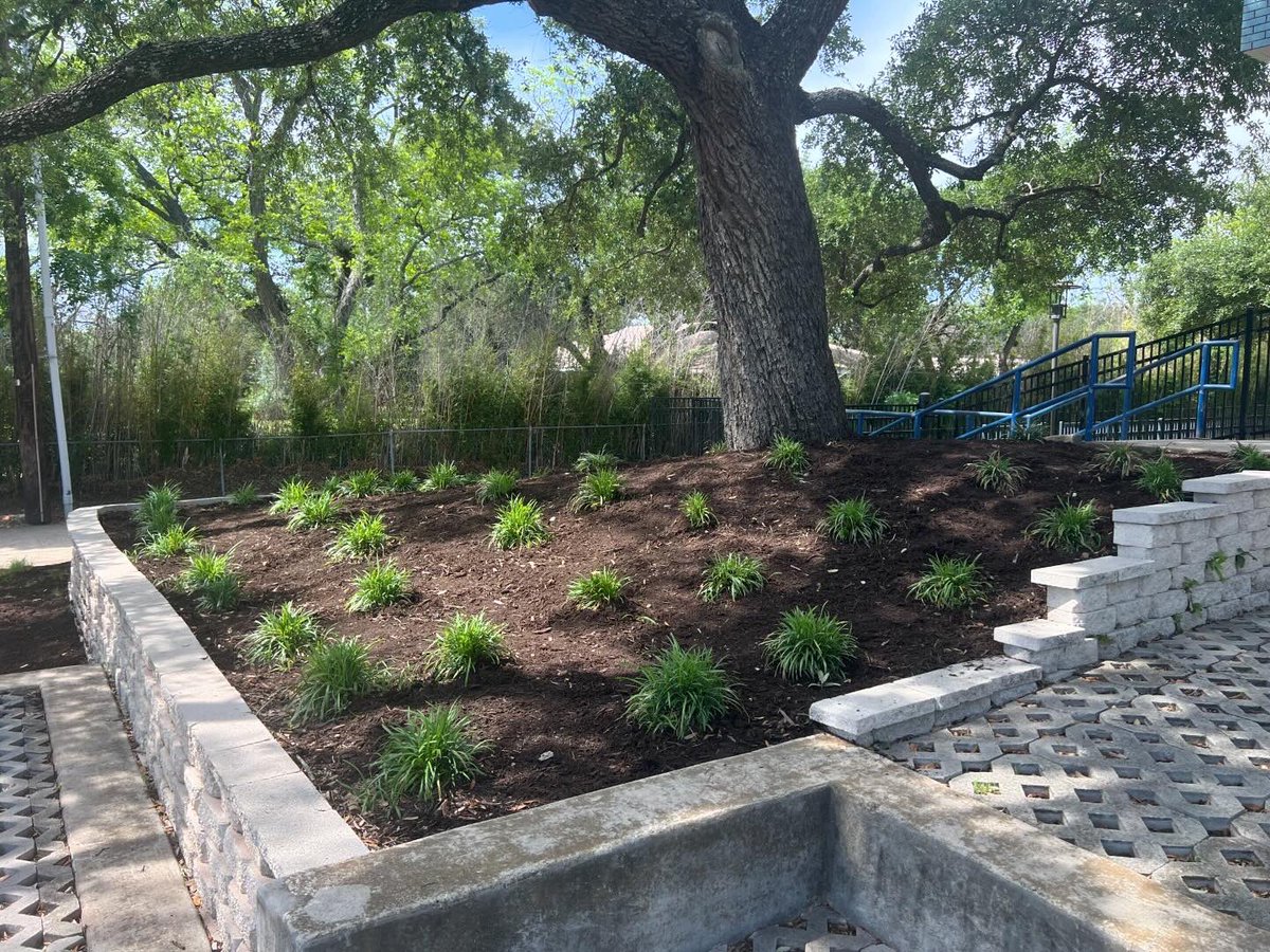 DrGuthrieTweets's tweet photo. Mulch Mania 2! Was a huge success… thank you to everybody that came out to help. #AHmazing https://t.co/01ReR1QR0l