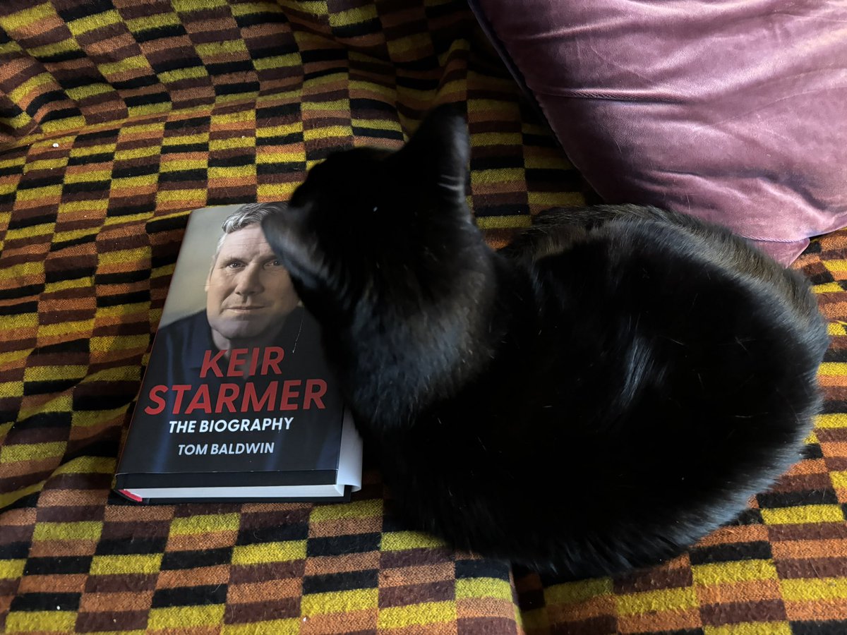 nickbowes1975's tweet photo. Cats for Starmer 🐈‍⬛ https://t.co/PG7r8Kre2Z