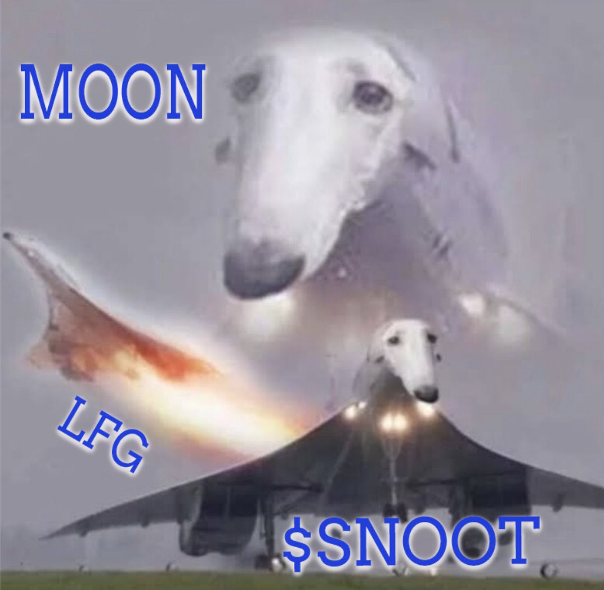 Snoot on base tweet media