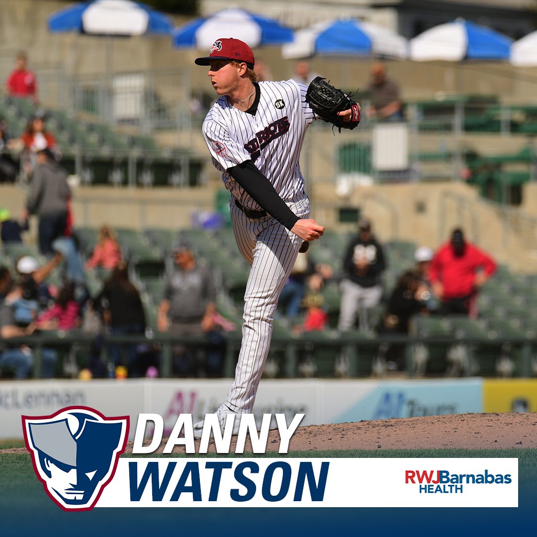 Somerset Patriots tweet media