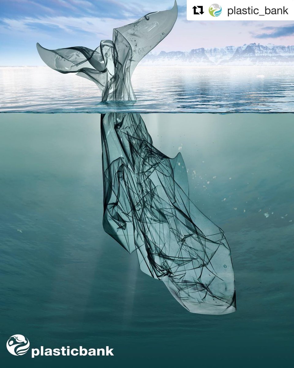 Another powerful image. Did you know nearly two million single-use plastic bags are distributed worldwide every minute? What steps are you taking to reduce your plastic use?⁣ #TalesOfSavingWhales #WhaleTales
