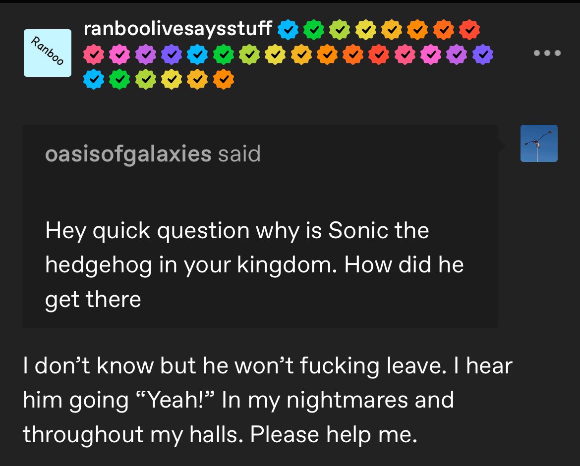 Ranboo posted on Tumblr!!! Sonic the hedgehog won't leave them alone