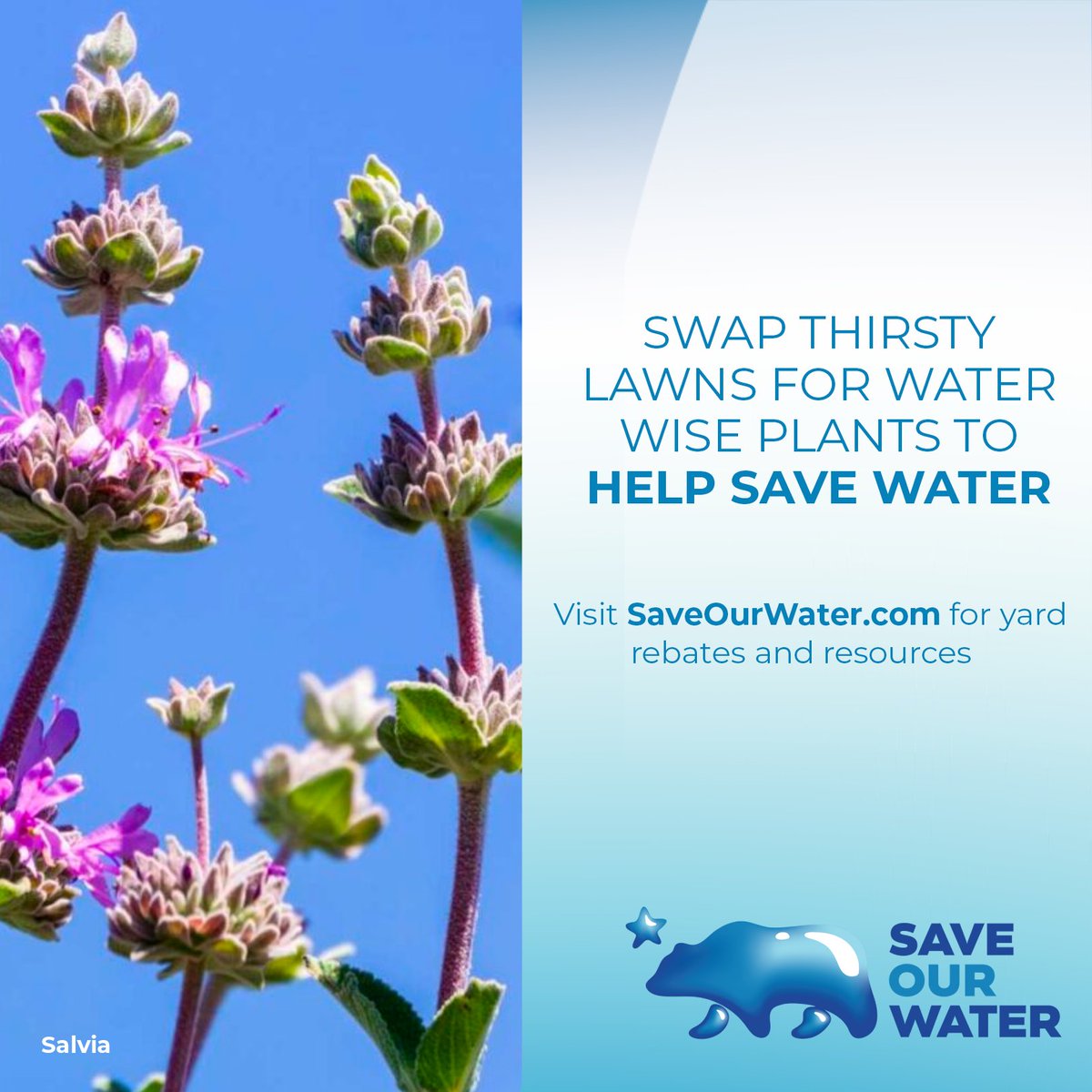 211 NorCal tweet media