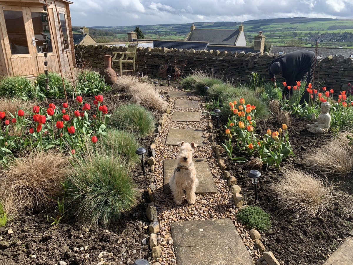 Hee hee who noticed Dad weeding in this photo…Mum didn’t 🤣🤣🤣 💖