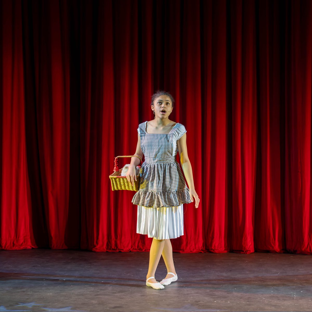 Newcastle Gang Show tweet media