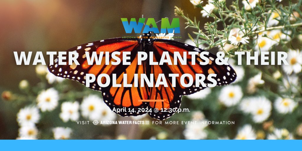 Learn how to incorporate water-wise, native plants into your landscaping with expert tips tomorrow! ow.ly/az8E50RfkcF #WaterAwarenessMonth