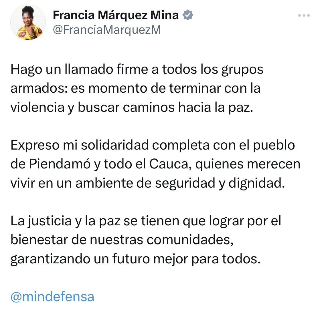 Vicepresidenta Francia Márquez, con los criminales no se logra nada con “llamados” y palabras. Cuántos mensajes ha escrito usted en X igualitos después de cada ataque terrorista. A los bandidos toca aplicarles la ley y la Constitución para garantizar la vida y la seguridad de…