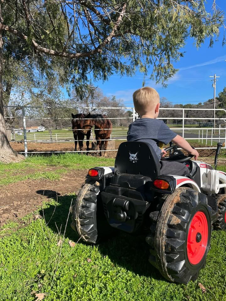 Just a kid and his trusty tractor out to get things done. 💪 

📷: Summer Jade

#OneToughAnimal