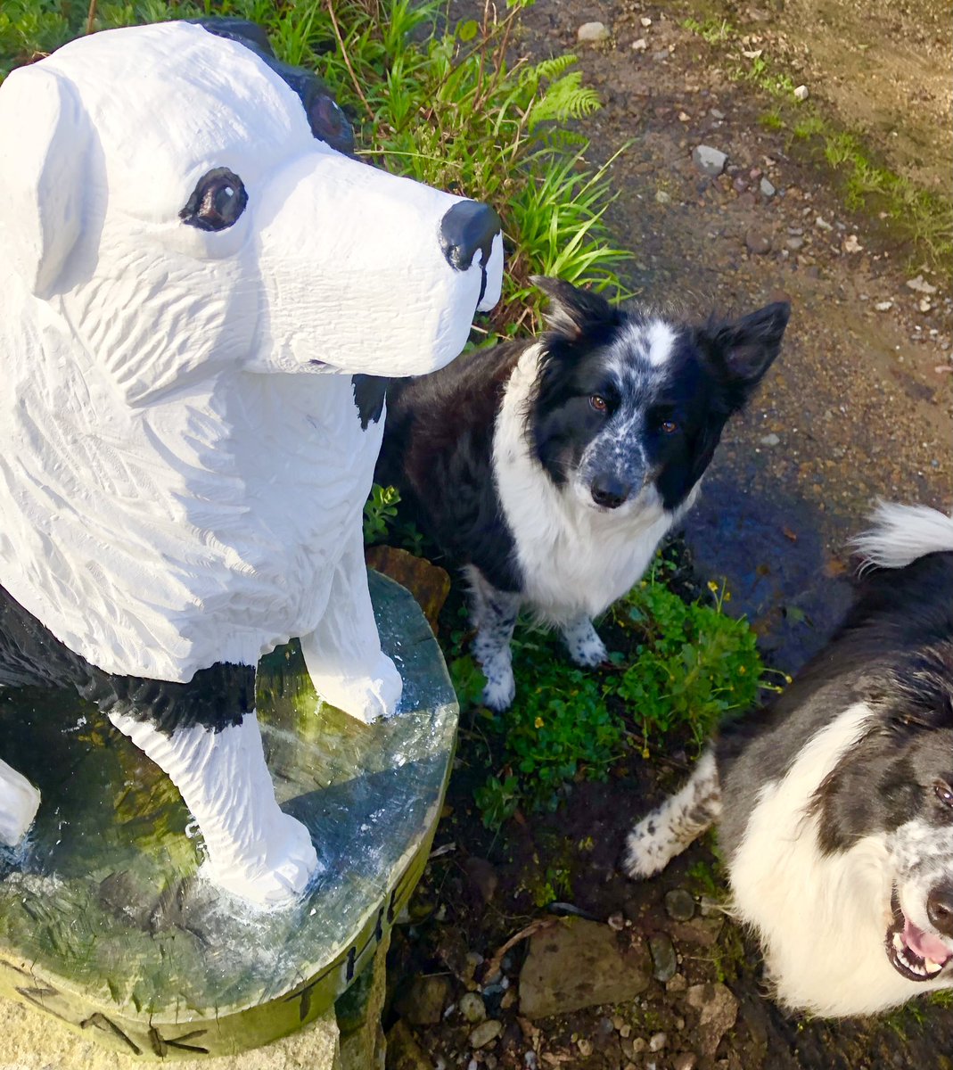 Seemed appropriate to give #zakthecolliedog a little TLC - freshly painted ready to wish the passing dogs & their walkers a fond hello 🖤 (FREE DELIVERY on Zak goodies until the daffodils end! 🌼 cherrydidi.com/pages/zak-the-… ) @CherrydidiUK #zakthecolliedog #jessedog #jackthelad