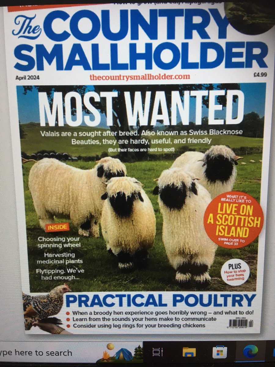 Read my article - Choosing your Spinning Wheel in the April edition of Country Smallholder.