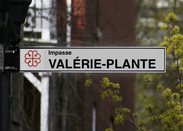 DÉFI
Pour le lègue de Madame la mairesse, trouver la rue ou la ruelle la plus appropriée de Montréal pour la renommer:
#polmtl #polqc