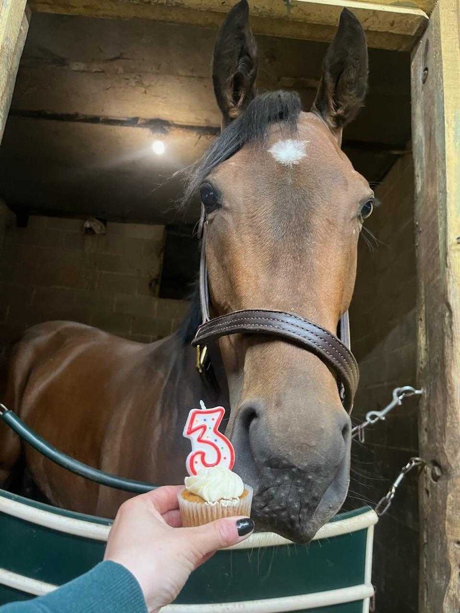 HAPPY CALENDAR BIRTHDAY to our 2-time winning, 3 year-old Demarchelier (GB) filly Photo Finish!!! Winners get 🎂🧁 !!! @WasabiStables @Cruz_Racing @VandelayStables