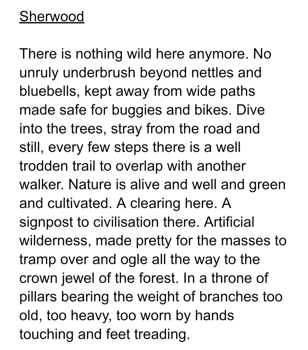 astoryscribbler's tweet image. #NaPoWriMo ended up going for a nature walk, as did about a hundred other people from how it felt. So that may have influenced my thoughts on walking to reconnect with nature 😆 
#poetry #PoetryMonth #poetrycommunity