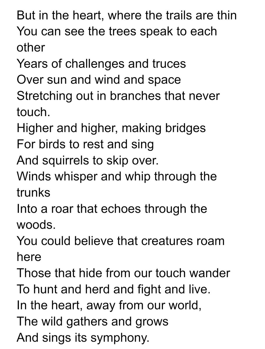 astoryscribbler's tweet image. #NaPoWriMo ended up going for a nature walk, as did about a hundred other people from how it felt. So that may have influenced my thoughts on walking to reconnect with nature 😆 
#poetry #PoetryMonth #poetrycommunity