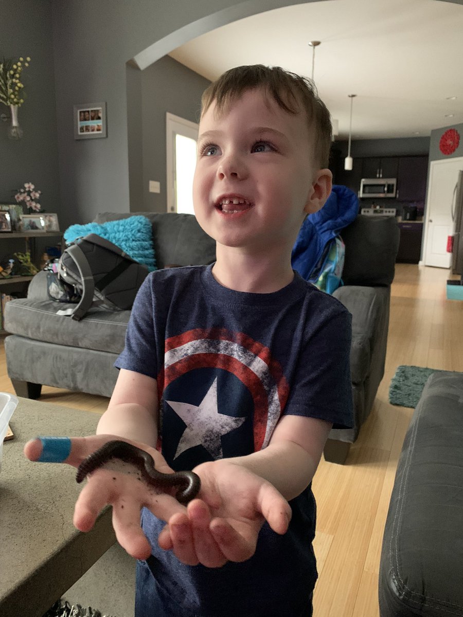 Brought home a millipede from school yesterday and Kasen had zero issues with reaching right in and picking it up. Cutest comment: It’s tickling me!! 😂 #millipede #ilovebugs