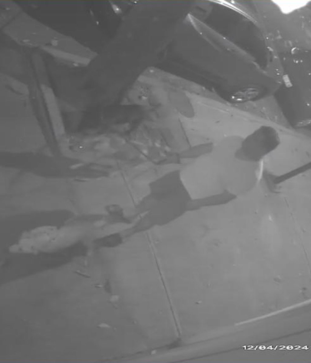 JamuNews's tweet photo. @En_laDelValle hola vecinos, si alguien ubica al dueño de estos perritos, díganle porfa que no sea marrano y levante las 💩s de sus mascotas..  Esto fue anoche en Enrique Rebsamen casi esquina San Borja… 
Graciass.. buen día.. https://t.co/oyKljlLca4