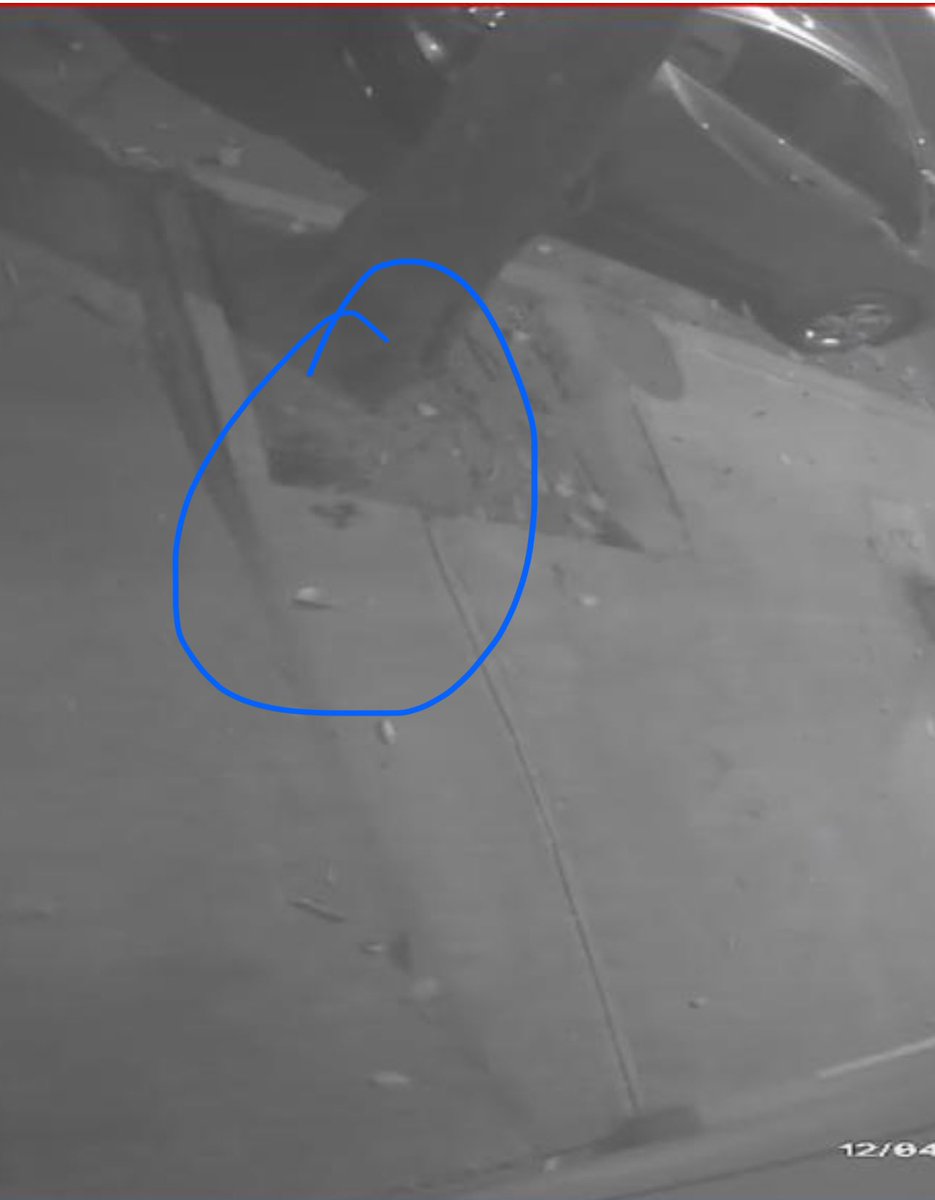 JamuNews's tweet photo. @En_laDelValle hola vecinos, si alguien ubica al dueño de estos perritos, díganle porfa que no sea marrano y levante las 💩s de sus mascotas..  Esto fue anoche en Enrique Rebsamen casi esquina San Borja… 
Graciass.. buen día.. https://t.co/oyKljlLca4