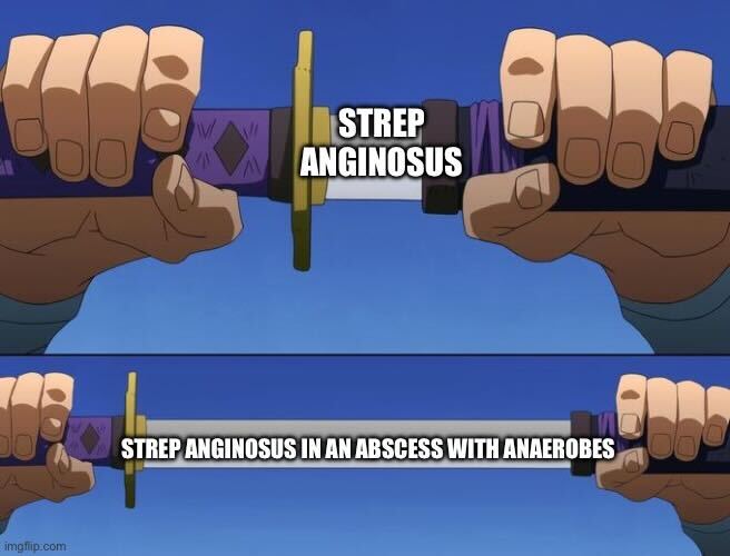 A Strep by Any Other Name Would Smell as Sweet. Check out this week’s KASIC pearl to Beat the Bug: Streptococcus anginosus Group ➡️tinyurl.com/5y2fpe97

#IDTwitter #IDXPosts #AntimicrobialResistance #antimicrobialstewardship #rxtwitter #pharmacy #FOAMed #NPs #PAs