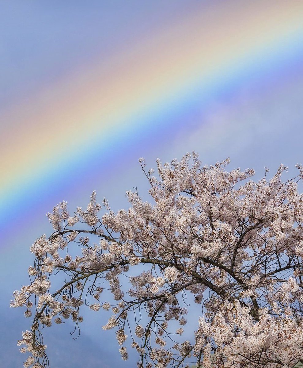 Bonito día!!!

"Hoy es un día especial, muy especial, porque despertaste con vida, despertaste con un corazón lleno de ganas de latir bonito,con unos ojos que se abrieron para ver lo más lindo del mundo,hoy es un día especial porque existes tu y tu lo haces aún más bello".ca💜🙌🏼