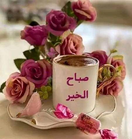باسم ابو زريق qsaasots332 tweet media