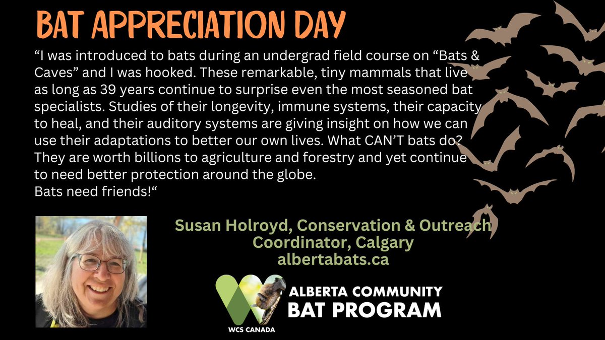 How does the #BatTeam appreciate bats? We are taking time for #BatAppreciationDay2024 to relay some thoughts. #BatsNeedFriends #WeStandForBats