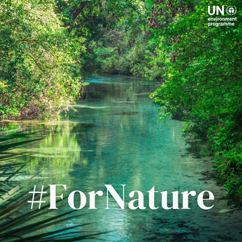 The air we breathe, the water we drink, the food on our tables, the medicines that heal us, the livelihoods we depend on — are all provided by Earth's ecosystems, on which humanity’s survival depends. To safeguard our future, we must unite in action. #ForNature.