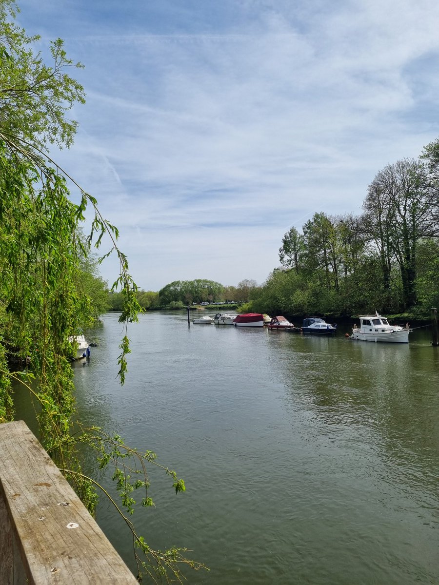TwickenhamYC's tweet photo. First of hopefully many beautiful days to come! River activity is starting over at TYC, with cruisers out! Some other river users spotted who are brave enough to paddle against the flow! https://t.co/DNMqW8NWNU