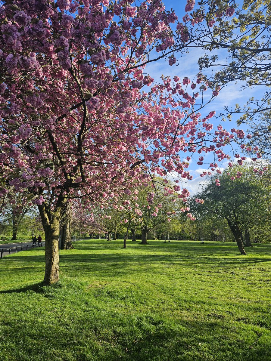Orlamo's tweet photo. Maybe, just maybe Spring has finally arrived! https://t.co/BfYjbS7CiK