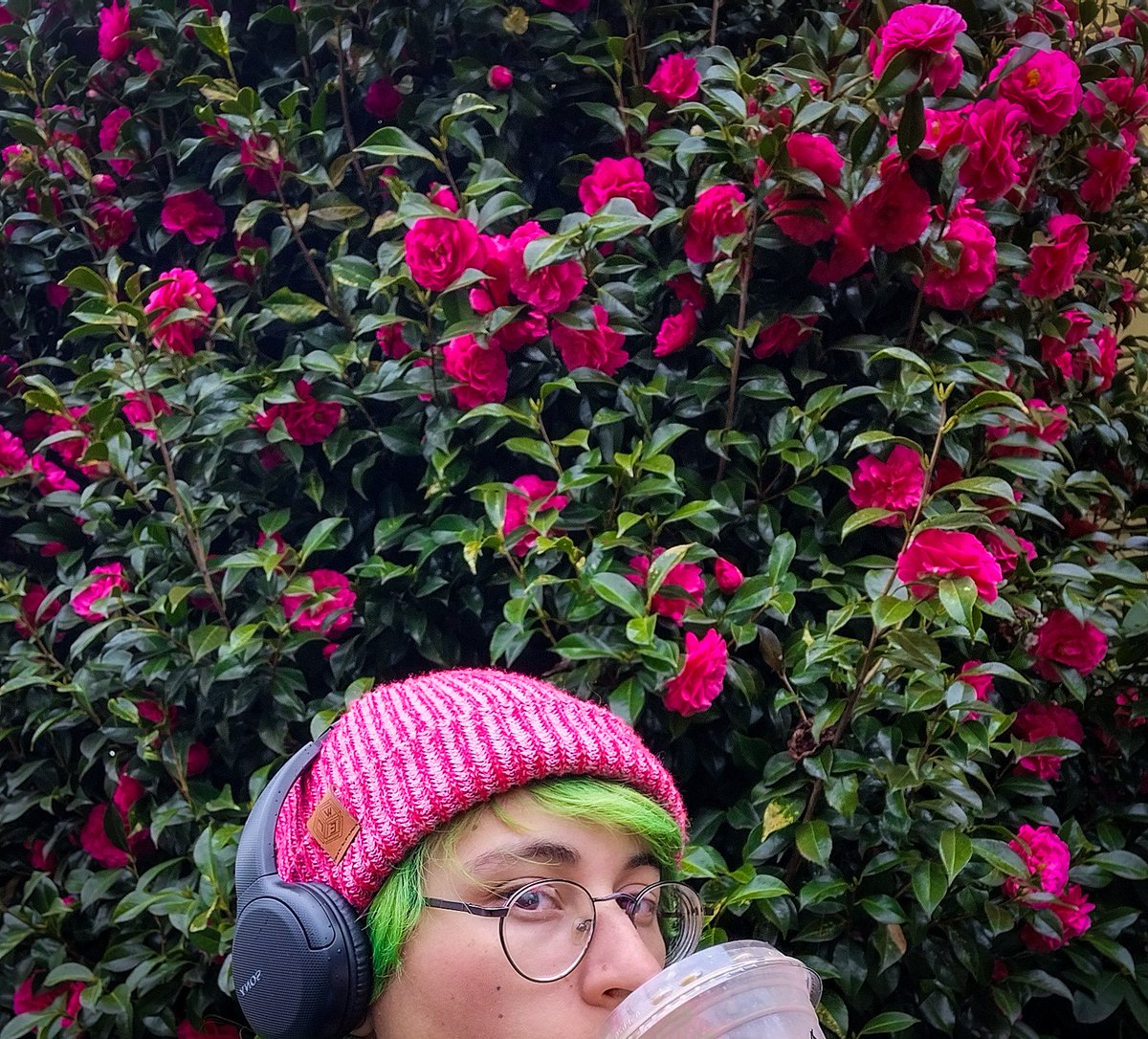 sporeborg's tweet image. Hi, I'm still alive :-)