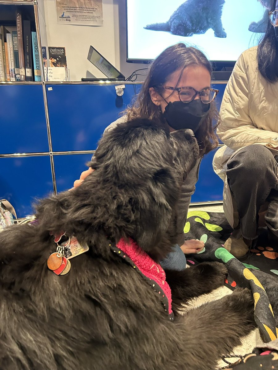 Hands down best museum public program of all time <a href="/akcMOD/">AKC Museum of the Dog</a>